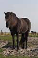 20060920_238-01