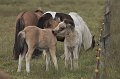 IMG_3983-01