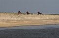 IMG_8527-01