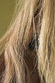 IMG_2355-01