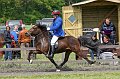 IMG_1704