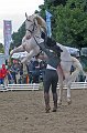 IMG_3000