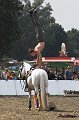 IMG_8958-01
