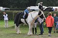 IMG_8987-01