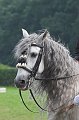 IMG_8991-01