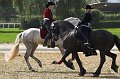 IMG_9047-01