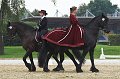 IMG_9089-01