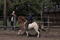 IMG_2784-01