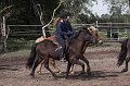 IMG_2808-01