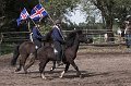 IMG_2809-01