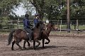 IMG_2810-01