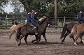IMG_2812-01