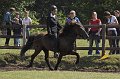 IMG_3479-01