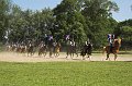 IMG_7143-01