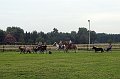 IMG_8130-01