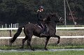 IMG_9145-01