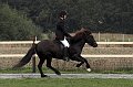 IMG_9312-01