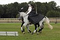 IMG_5614-01