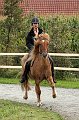 IMG_5741-01