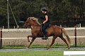 IMG_5797-01