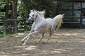 IMG_2315-01