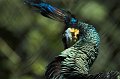 IMG_2542-01