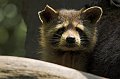 IMG_2567-01