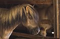 IMG_3464-01