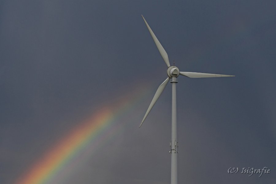 Regenbogen-Sauger