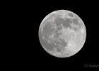 Mond