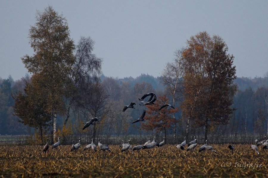 IMG 7849-01