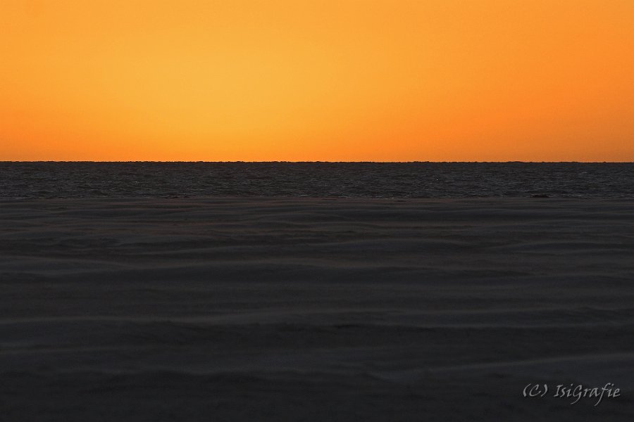 IMG 8252-01