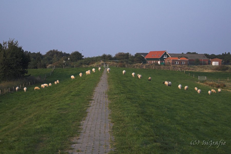 20060917 086-01
