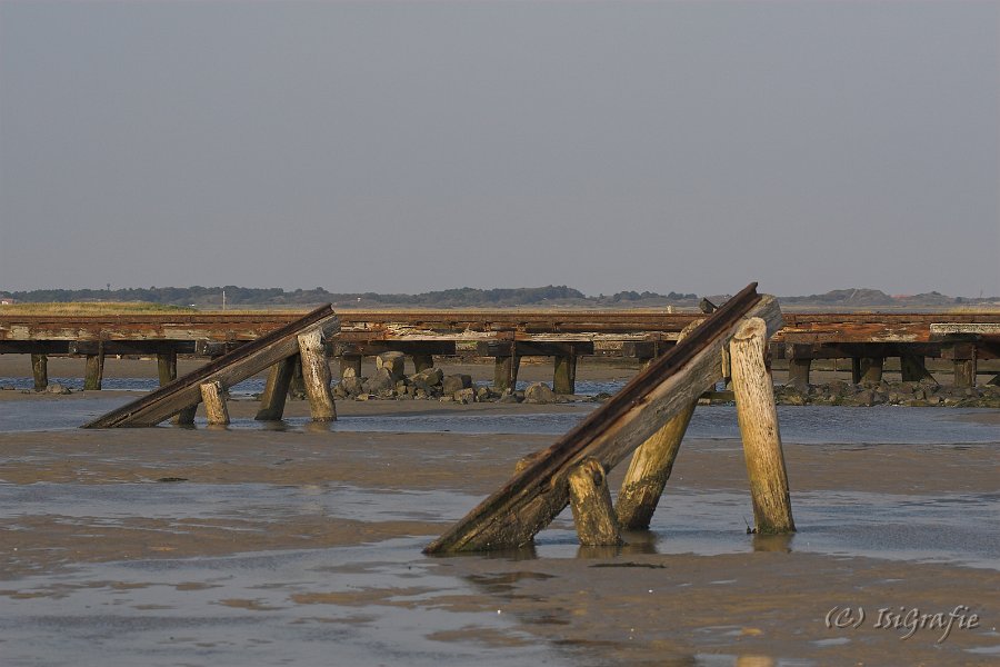 IMG 0969-01
