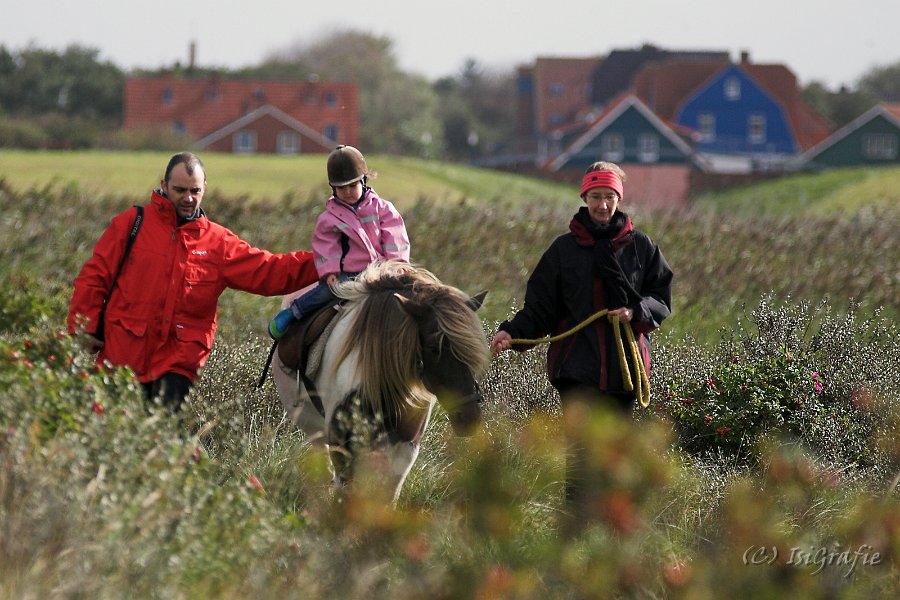 IMG 1053-01