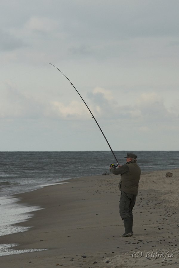 IMG 4112-01
