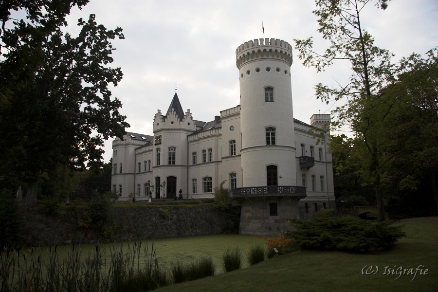 IMG 7689-01