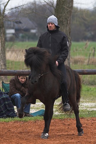 Ishof Jóhann R. Skúlason, Hvinur frá Holtsmúla