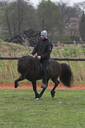 Ishof Jóhann R. Skúlason, Hvinur frá Holtsmúla