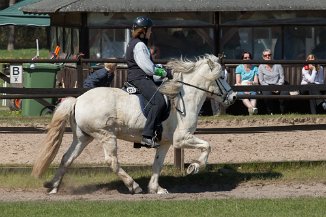 IMG_3586