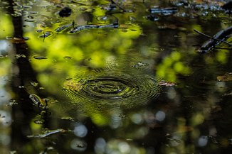 IMG_8925