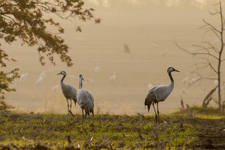 IMG_1509