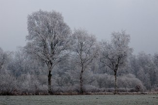 IMG_9728 Winter in der Steller Heide
