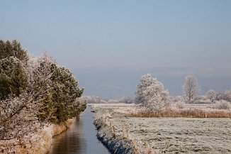 IMG_9771 Winter in der Steller Heide