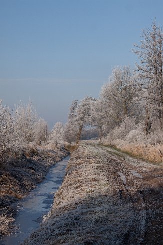 IMG_9778 Winter in der Steller Heide