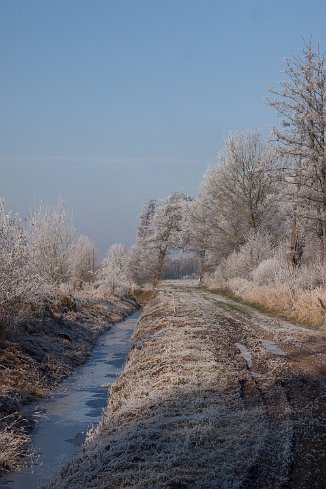 IMG_9778 Winter in der Steller Heide
