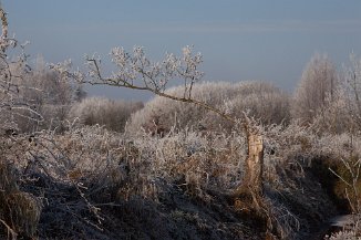 IMG_9780 Winter in der Steller Heide