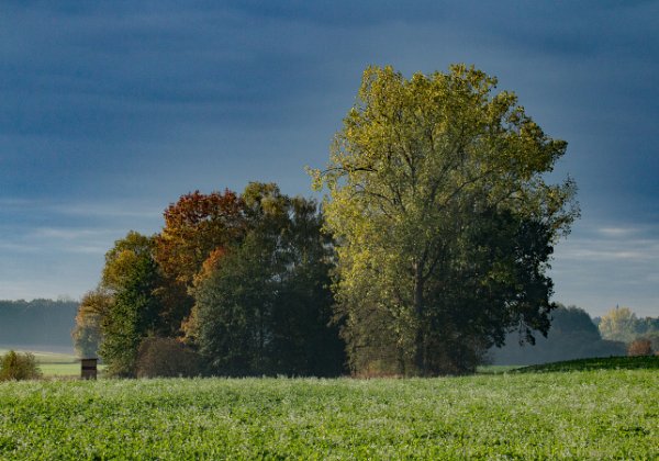 Landschaften