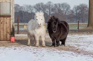 IMG_0835 Fani und Littli