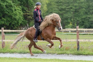 IMG_6547 Janine und Fjalar